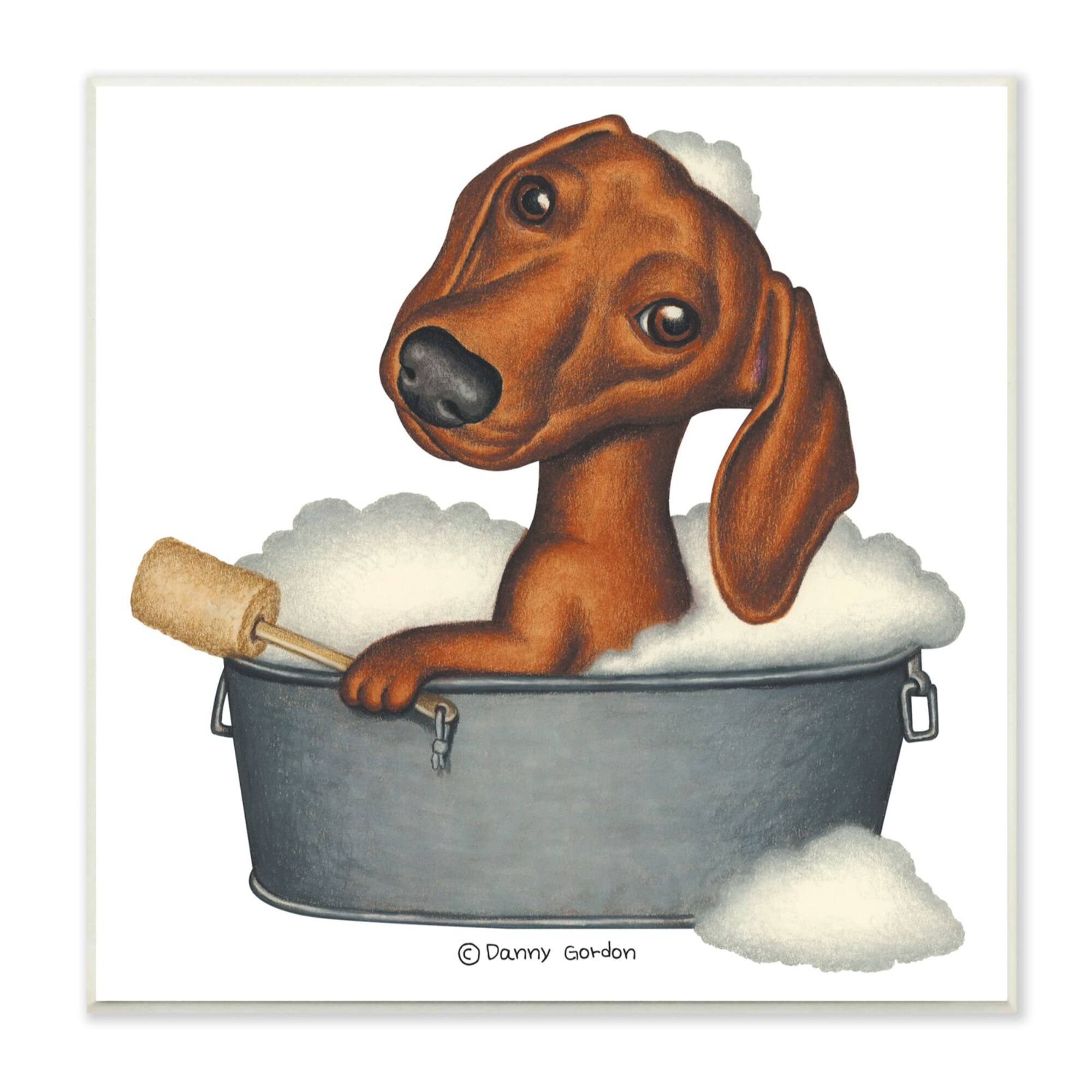 Stupell Industries Dachshund in Tin Tub Bubble Bath Country Pet,12" x 12"